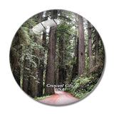 USA America Crescent  Redwoods Park 3D Fridge Magnet Crystal Glass