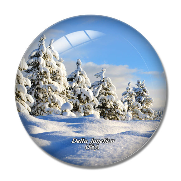 USA America Delta Junction Alaska 3D Fridge Magnet Crystal Glass