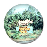 USA America Escondido San Diego Zoo Safari Park 3D Fridge Magnet Crystal Glass