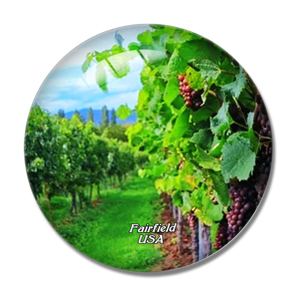 USA America Fairfield Vineyard 3D Fridge Magnet Crystal Glass