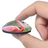 USA America Flamingo Busch Gardens Tampa 3D Fridge Magnet Crystal Glass