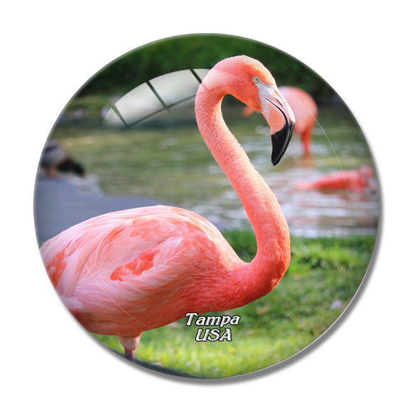 USA America Flamingo Busch Gardens Tampa 3D Fridge Magnet Crystal Glass