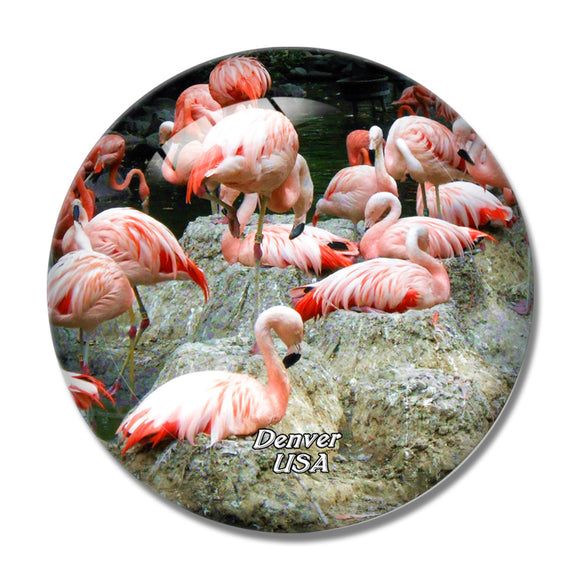 USA America Flamingo Denver Zoo 3D Fridge Magnet Crystal Glass