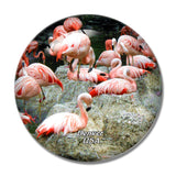 USA America Flamingo Denver Zoo 3D Fridge Magnet Crystal Glass