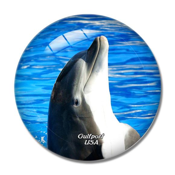USA America Gulfport Dolphin 3D Fridge Magnet Crystal Glass