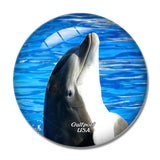 USA America Gulfport Dolphin 3D Fridge Magnet Crystal Glass