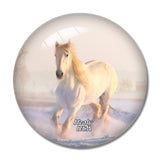 USA America Healy Snow Alaska 3D Fridge Magnet Crystal Glass