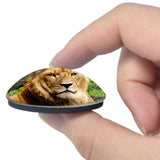 USA America Henderson Lion Habitat Ranch 3D Fridge Magnet Crystal Glass