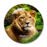 USA America Henderson Lion Habitat Ranch 3D Fridge Magnet Crystal Glass