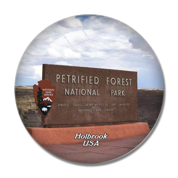 USA America Holbrook Petrified Forest National Park Arizona 3D Fridge Magnet Crystal Glass