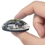 USA America Irving Mustangs of Las Colinas 3D Fridge Magnet Crystal Glass