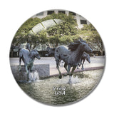 USA America Irving Mustangs of Las Colinas 3D Fridge Magnet Crystal Glass