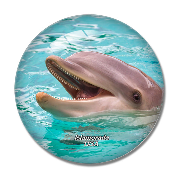 USA America Islamorada Dolphin Theater of the Sea 3D Fridge Magnet Crystal Glass