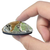 USA America Jacksonville Zoo Tiger 3D Fridge Magnet Crystal Glass