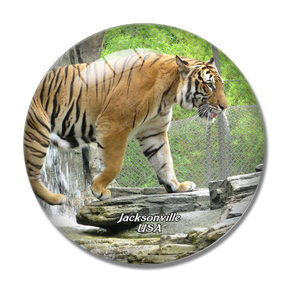 USA America Jacksonville Zoo Tiger 3D Fridge Magnet Crystal Glass