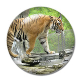 USA America Jacksonville Zoo Tiger 3D Fridge Magnet Crystal Glass