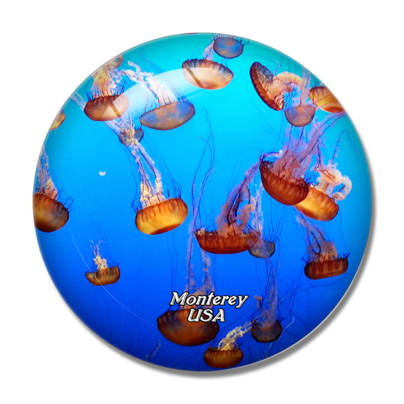USA America Jellyfish Aquarium Monterey 3D Fridge Magnet Crystal Glass