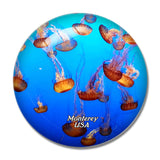 USA America Jellyfish Aquarium Monterey 3D Fridge Magnet Crystal Glass