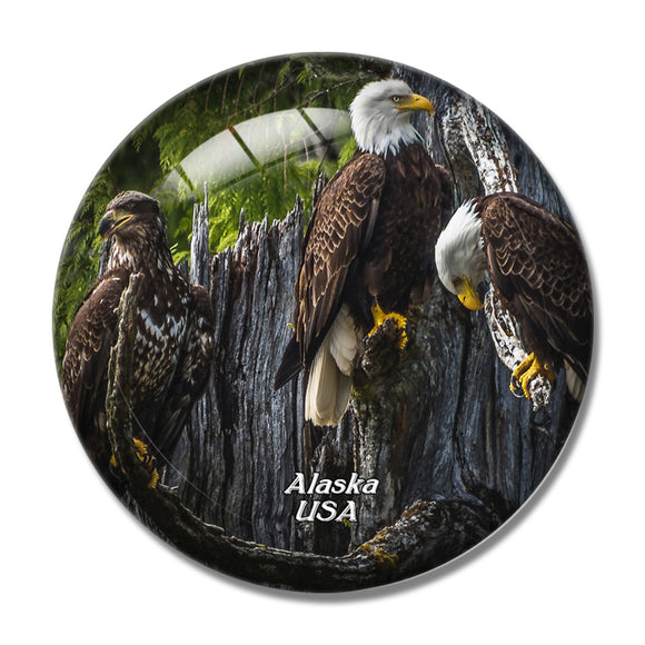 USA America Ketchikan Bald Eagle Alaska 3D Fridge Magnet Crystal Glass