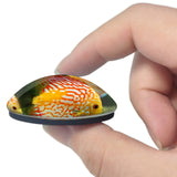 USA America Key Largo Park 3D Fridge Magnet Crystal Glass