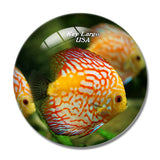 USA America Key Largo Park 3D Fridge Magnet Crystal Glass