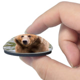 USA America Kodiak Bear Alaska 3D Fridge Magnet Crystal Glass