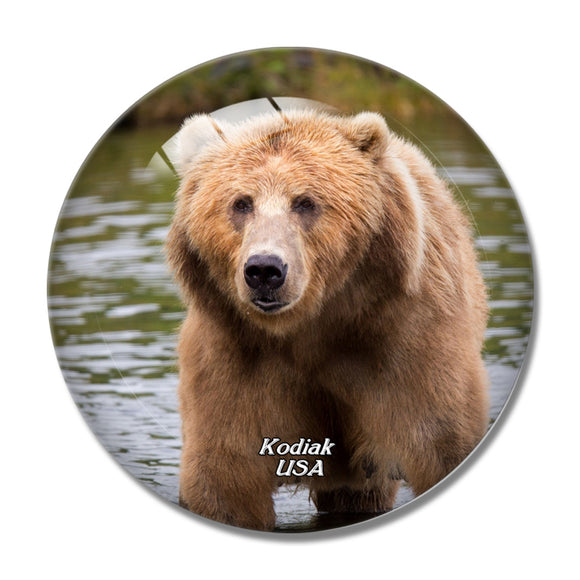 USA America Kodiak Bear Alaska 3D Fridge Magnet Crystal Glass