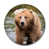 USA America Kodiak Bear Alaska 3D Fridge Magnet Crystal Glass