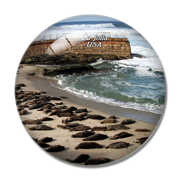 USA America La Jolla Cove 3D Fridge Magnet Crystal Glass