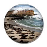 USA America La Jolla Cove 3D Fridge Magnet Crystal Glass