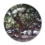 USA America lahaina Banyan Tree Park 3D Fridge Magnet Crystal Glass