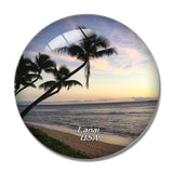 USA America Lanai 3D Fridge Magnet Crystal Glass