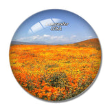 USA America Lancaster California Poppy Reserve 3D Fridge Magnet Crystal Glass