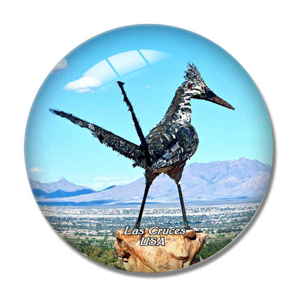 USA America Las Cruces Recycled Roadrunner Sculpture 3D Fridge Magnet Crystal Glass