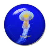 USA America Long Beach Aquarium of the Pacific 3D Fridge Magnet Crystal Glass