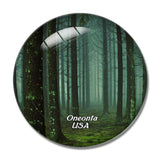 USA America Oneonta Palisades Park 3D Fridge Magnet Crystal Glass