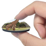 USA America Palm Desert Giraffe Zoo and Gardens 3D Fridge Magnet Crystal Glass