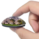 USA America Palm Springs Indian Canyons 3D Fridge Magnet Crystal Glass