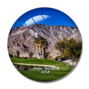 USA America Palm Springs Indian Canyons 3D Fridge Magnet Crystal Glass