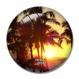 USA America Palm Tree Hawaii 3D Fridge Magnet Crystal Glass