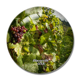 USA America Placerville Vineyard California 3D Fridge Magnet Crystal Glass