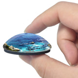 USA America Point Lobos Big Sur California Carmel 3D Fridge Magnet Crystal Glass