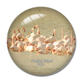 USA America Sanibel Island Flamenco 3D Fridge Magnet Crystal Glass