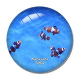 USA America Sarasota Aquarium 3D Fridge Magnet Crystal Glass