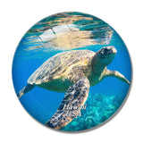 USA America Sea Turtle Hawaii 3D Fridge Magnet Crystal Glass