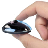 USA America Sea World San Diego 3D Fridge Magnet Crystal Glass