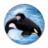 USA America Sea World San Diego 3D Fridge Magnet Crystal Glass
