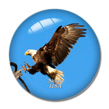 USA America Sitka Bald Eagle Alaska 3D Fridge Magnet Crystal Glass