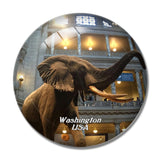 USA America Smithsonian National Museum Washington 3D Fridge Magnet Crystal Glass
