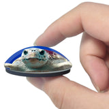 USA America South Padre Island Turtle 3D Fridge Magnet Crystal Glass